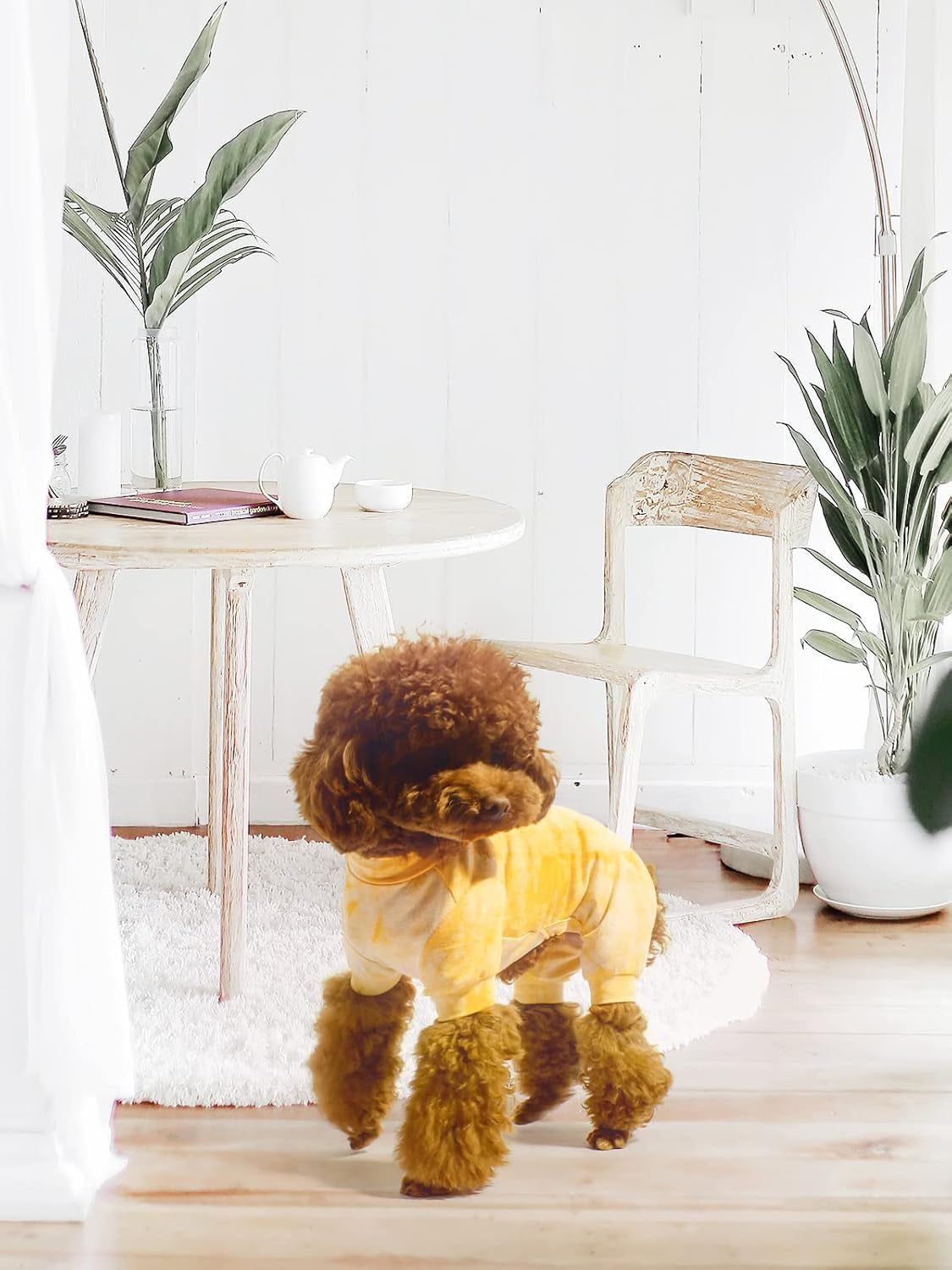 Adorable Yellow Dog Pajamas - Cozy Pullover PJs for Small to Medium Dogs - Soft, Breathable, and Perfect for Birthdays!