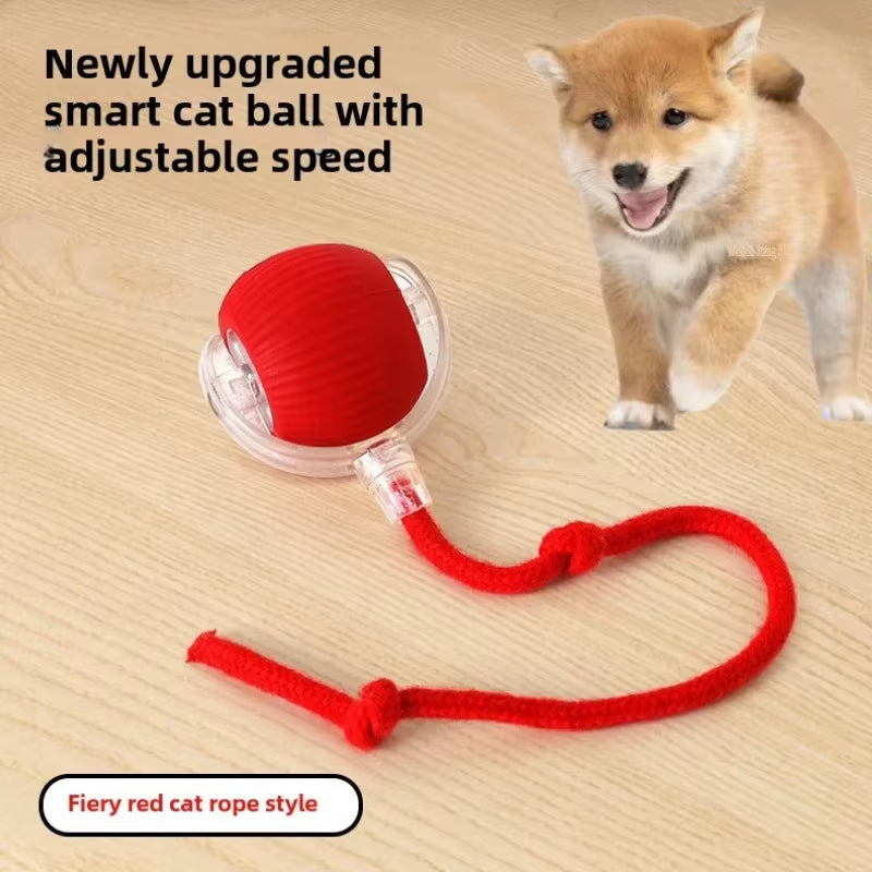 Rechargeable Automatic Rolling Tail Ball - The Ultimate Smart Toy for Dogs and Cats