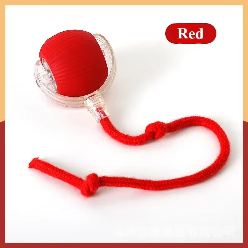 Rechargeable Automatic Rolling Tail Ball - The Ultimate Smart Toy for Dogs and Cats