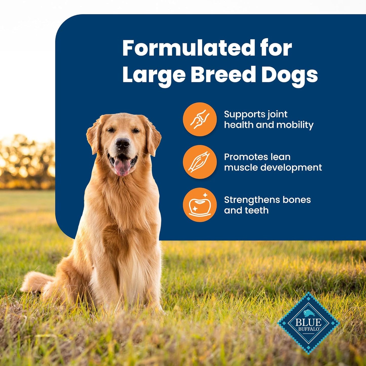 Nourish Your Giant or Large Breed Dog with BLUE Life Protection Formula - Premium Chicken & Brown Rice Dry Food, 30-Lb Bag for Optimal Health and Vitality