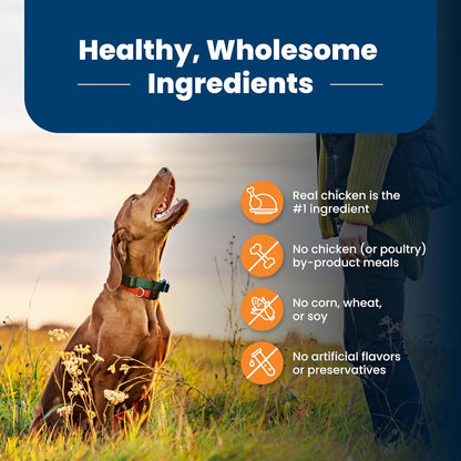 Nourish Your Giant or Large Breed Dog with BLUE Life Protection Formula - Premium Chicken & Brown Rice Dry Food, 30-Lb Bag for Optimal Health and Vitality