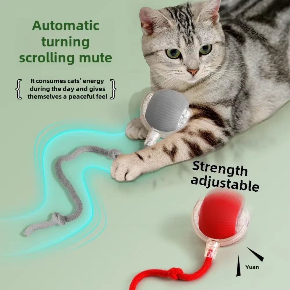 Rechargeable Automatic Rolling Tail Ball - The Ultimate Smart Toy for Dogs and Cats