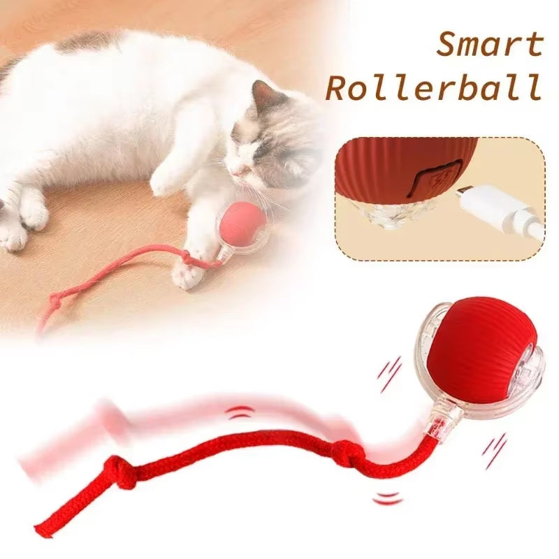 Rechargeable Automatic Rolling Tail Ball - The Ultimate Smart Toy for Dogs and Cats