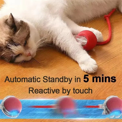 Rechargeable Automatic Rolling Tail Ball - The Ultimate Smart Toy for Dogs and Cats